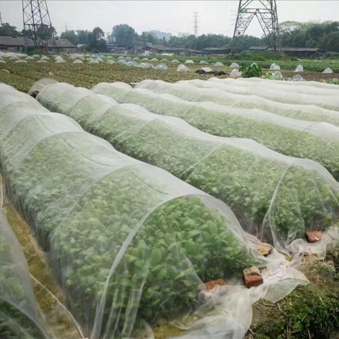 Anti-Insect Protection Net