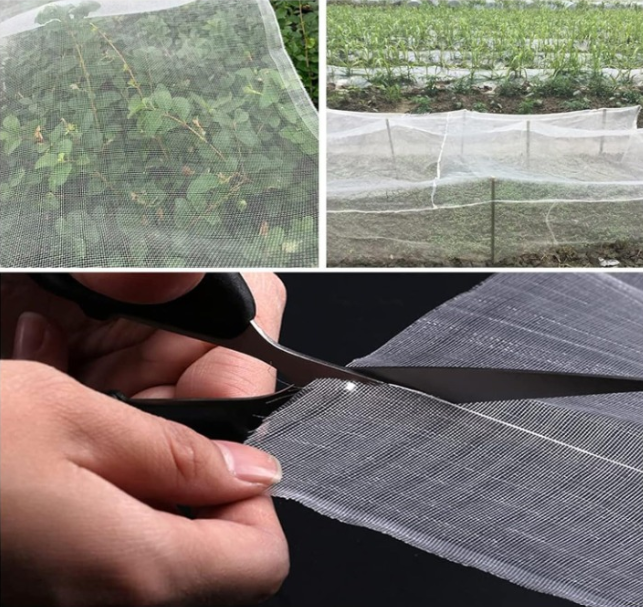 Anti-Insect Protection Net