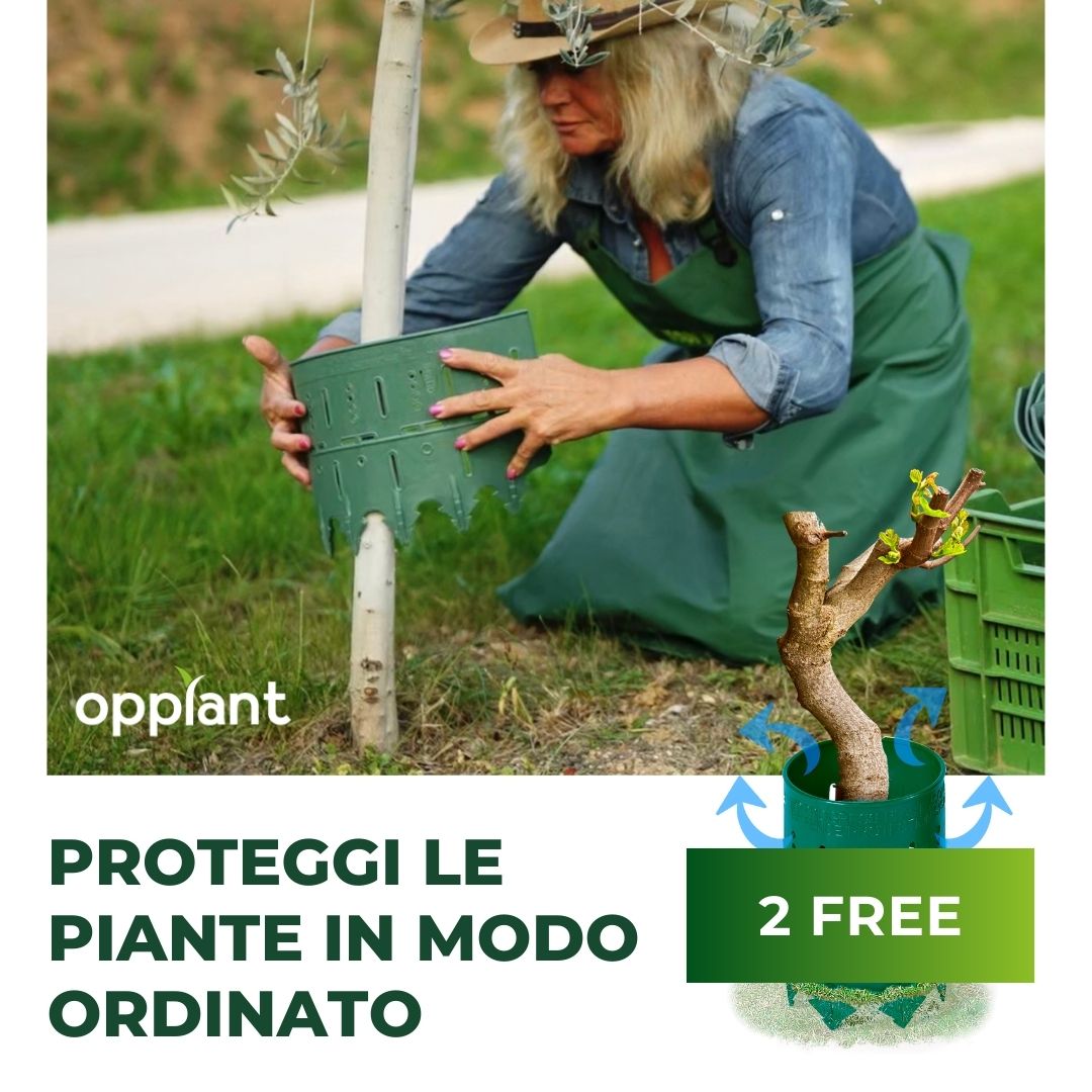 Cage de Protection Pour Plante