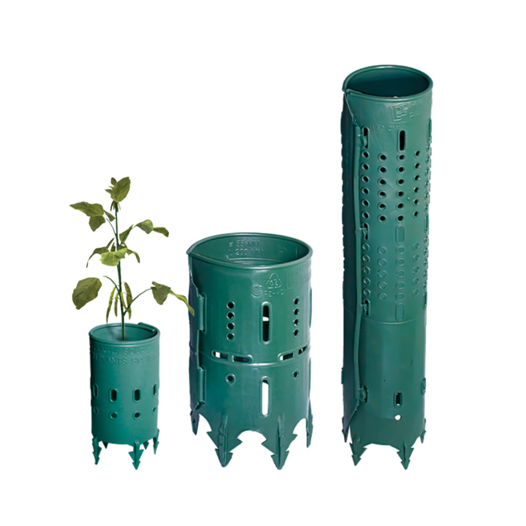 Cage de Protection Pour Plante