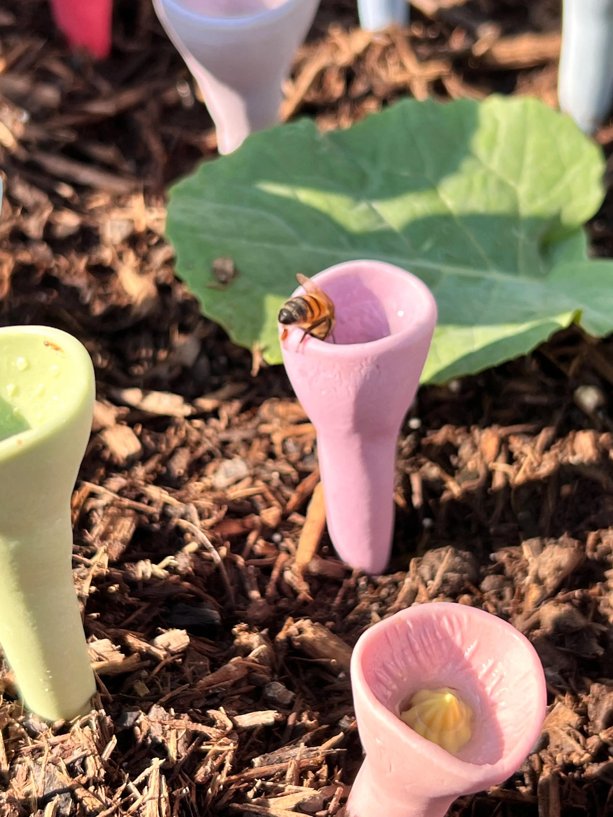 BeeCups - Waternatuur - Red bestuivers