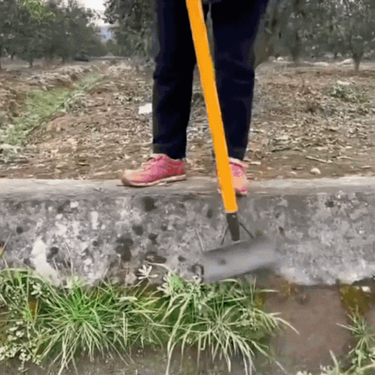 Pala Da Giardino Con Raccoglitore